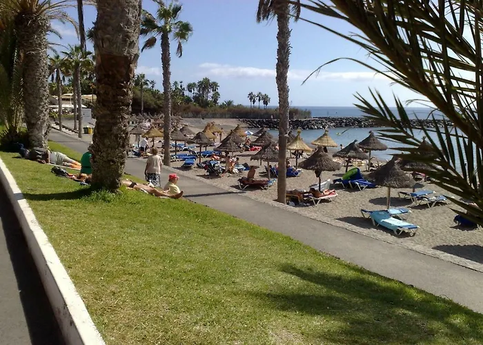 Flores 2 美洲海滩