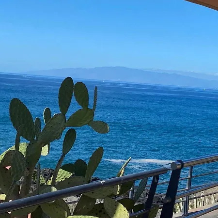 Flores 2 美洲海滩